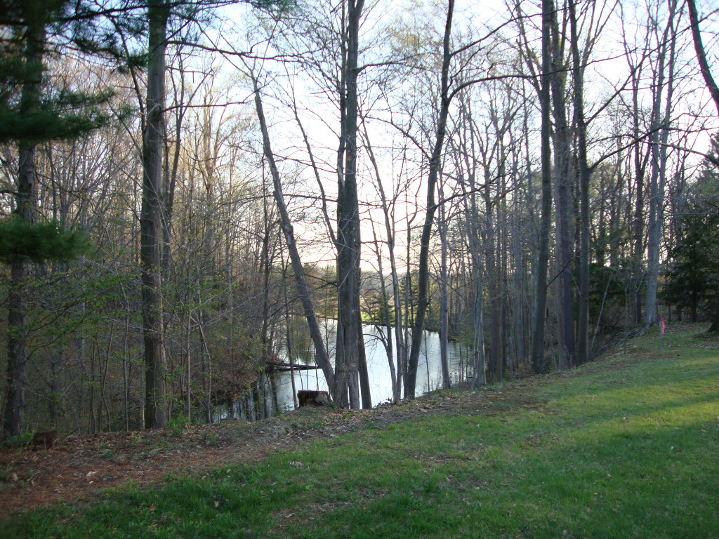 Lot 12's View from the Home Site to the Northeast, the Lower Lake